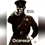 Постер книги Осечка