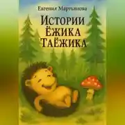 Постер книги Истории Ежика-Таёжика