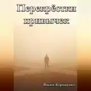 Постер книги Перекрёстки привычек