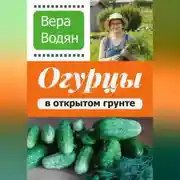 Постер книги Вера Водян. Огурцы в открытом грунте