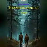 Постер книги Неумолкающее эхо