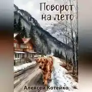 Постер книги Поворот на лето