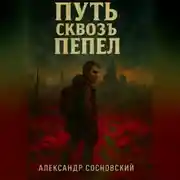 Постер книги Путь сквозь пепел
