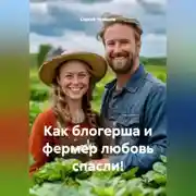 Постер книги Как блогерша и фермер любовь спасли!