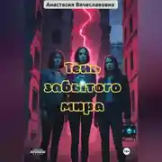 Постер книги Тень забытого мира