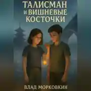 Постер книги Талисман и вишневые косточки