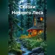 Постер книги Сказки Ночного Леса