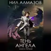 Постер книги Тень ангела. Книга 1
