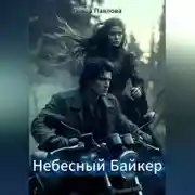 Постер книги Небесный Байкер
