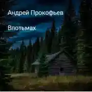 Постер книги Впотьмах