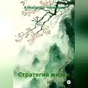 Постер книги Стратегия жизни