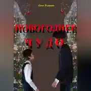 Постер книги НОВОГОДНЕЕ ЧУДО