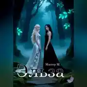 Постер книги Эльза