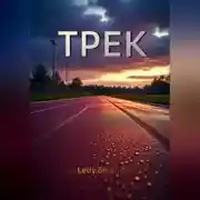 Постер книги ТРЕК