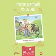 Постер книги Пропавший кролик