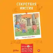 Постер книги Секретная миссия