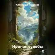 Постер книги Ирония судьбы