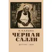 Постер книги Чёрная Салли