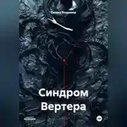 Постер книги Синдром Вертера