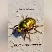 Постер книги Следы на песке