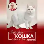 Постер книги Здоровая кошка в вашем доме