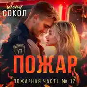 Постер книги Пожар