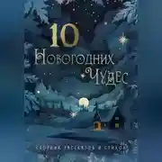 Постер книги 10 новогодних чудес