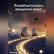 Постер книги Волшебные коньки и похищенное время
