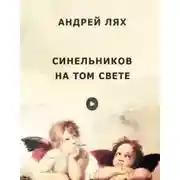 Постер книги Синельников на том свете