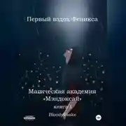 Постер книги Магическая академия Мэндоксай