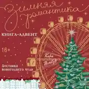 Постер книги Доставка новогоднего чуда