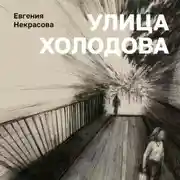 Постер книги Улица Холодова