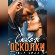 Постер книги Сквозь осколки