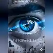 Постер книги Выбора небыло