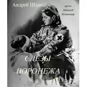 Постер книги Слёзы Воронежа