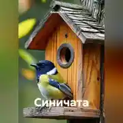 Постер книги Синичата