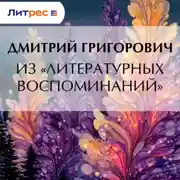Постер книги Из «Литературных воспоминаний»