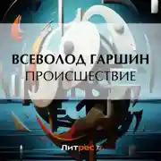 Постер книги Происшествие