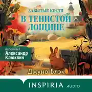 Постер книги Забытые кости в Тенистой Лощине
