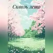 Постер книги Сквозь лето