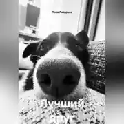 Постер книги Лучший друг