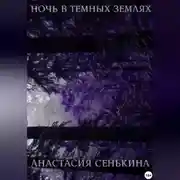 Постер книги Ночь в тёмных землях