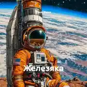Постер книги Железяка