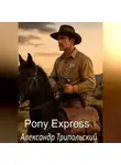 Александр Трипольский - «Pony Express: Кровь, сталь и клятва на Библии»