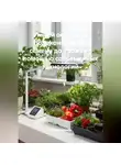 Война Владимир - «Умный огород на подоконнике: От семени до урожая с помощью современных технологий»