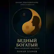 Постер книги «Бедный Богатый»
