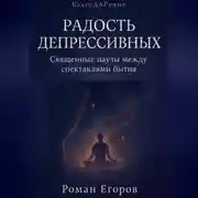 Постер книги «Радость депрессивных»