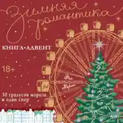 Постер книги 30 градусов мороза и один спор