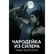 Постер книги Чародейка из Силера