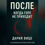 Постер книги «После. Когда горе не приходит»